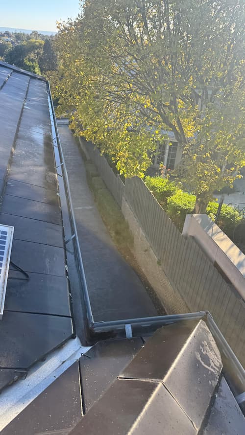 Clean gutter